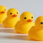 Rubber ducks or ducklings in a row.